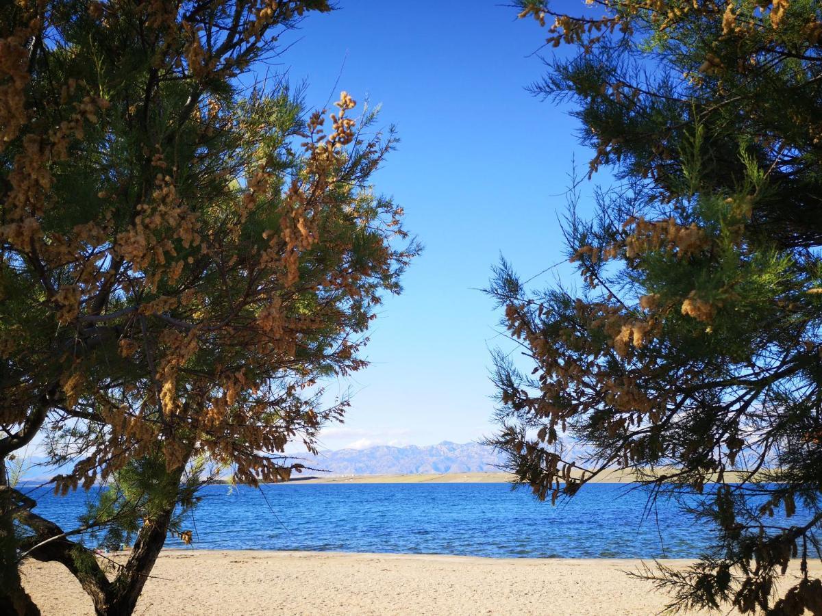 ヴィル Holiday House Taraヴィラ エクステリア 写真